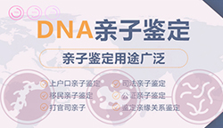 烟台想做私密亲子鉴定如何做，烟台想办理匿名亲子鉴定流程
